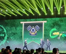 开元棋牌-关于弗洛西冈队长受伤，球队战力受损的信息